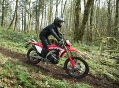 Dual Sport